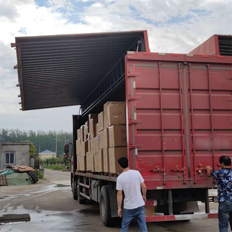 复兴区扎囊县：物流专线的高效货运之旅